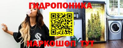 гашишное масло Берёзовский